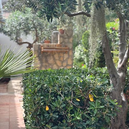 B&B Villa Alba Сан-Вито-Ло-Капо Экстерьер фото