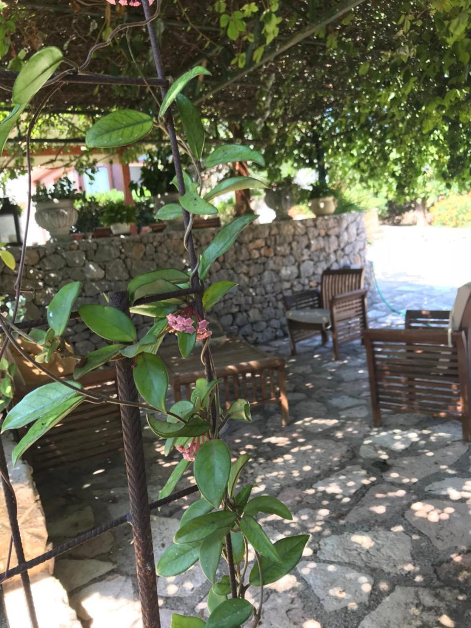 B&B Villa Alba Сан-Вито-Ло-Капо Экстерьер фото